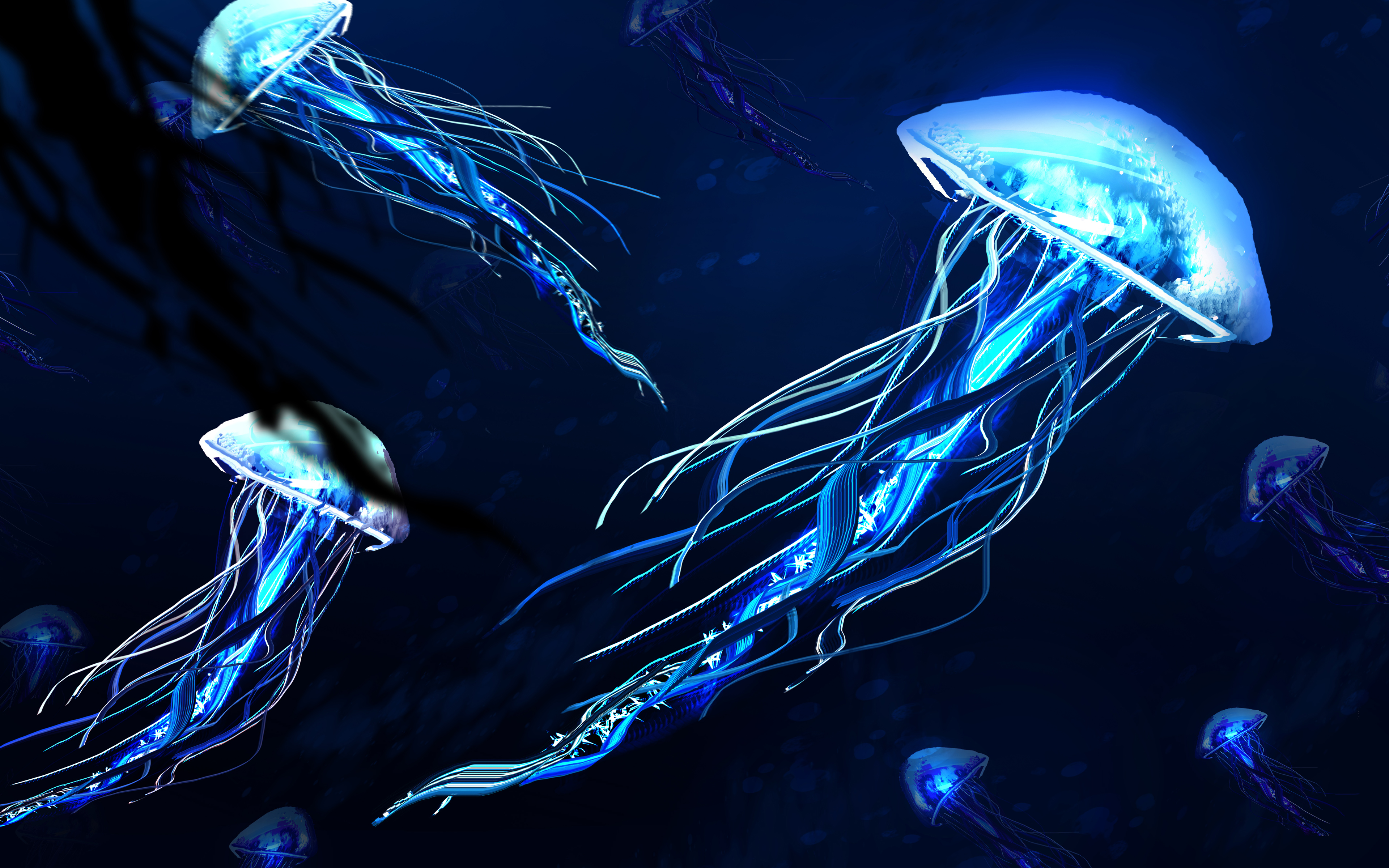 Jellyfishes 4K512456905